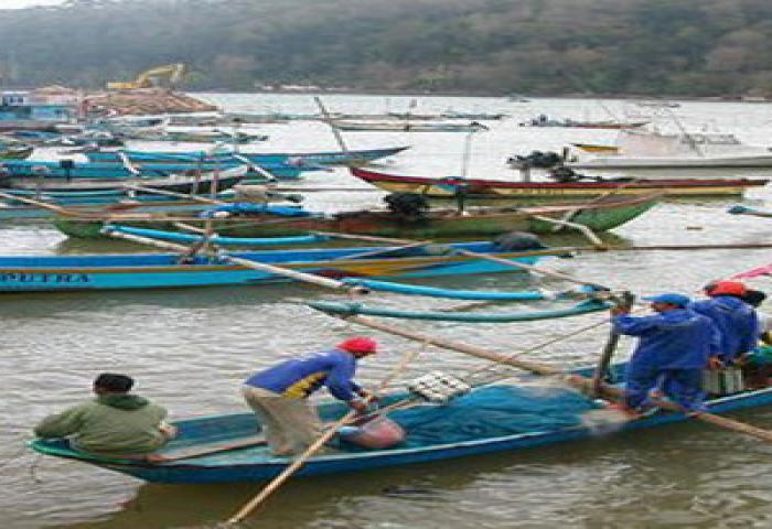 Konservasi Kelautan Sepenting Pemberantasan Pencurian Ikan